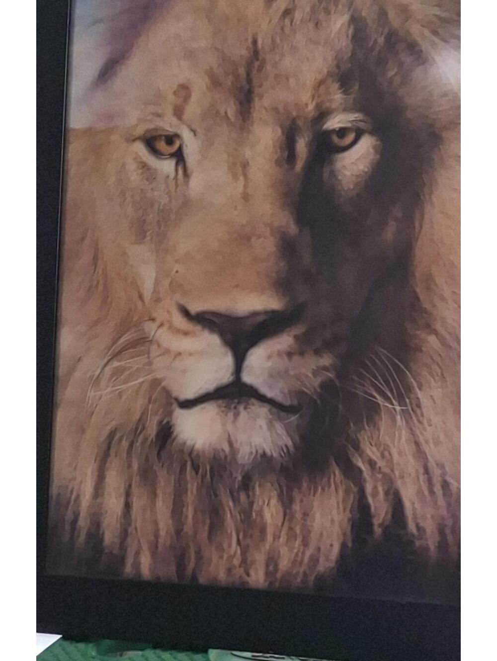 Majestic 3D Framed Lion & Lioness Wall Art – High Depth Effect 14" X18"